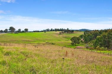 Lot 51 Lenaghans Drive Lenaghan NSW 2322 - Image 3