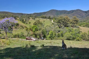 558 Mchughs Creek Rd South Arm NSW 2449 - Image 3