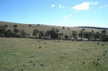 Lot 4 Thompsons Creek Road Wallerawang NSW 2845 - Image 3