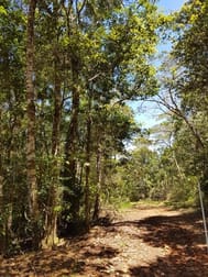 Tom Carrick Road Evelyn QLD 4888 - Image 3