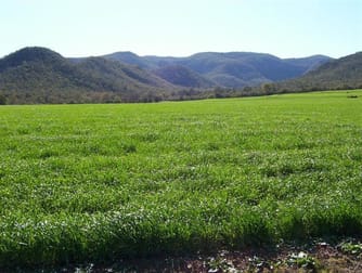 Click to view all images WATTLE GROVE Bell QLD 4408 - Image 2