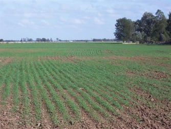 Click to view all images Hannaford QLD 4406 - Image 1