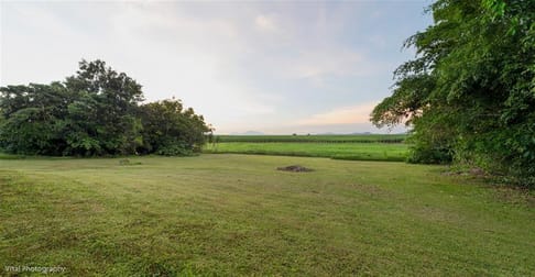 22 Martinuzzi Close Mourilyan Harbour QLD 4858 - Image 1