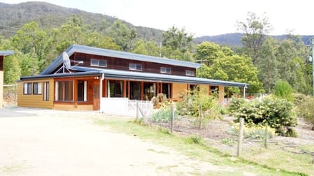 145 Buckley's Rd Bemboka NSW 2550 - Image 1
