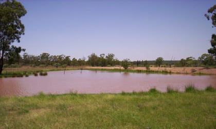 Click to view all images - GRAZING WITH IRRIGATION LICENCES Drillham QLD 4424 - Image 2