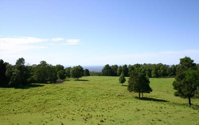 350 Browns Mountain Road Cambewarra NSW 2540 - Image 1