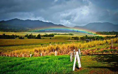 18 to 20 ROBERTSON Road Innisfail QLD 4860 - Image 1