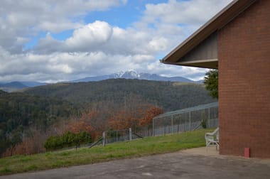 777 Buttercup Road Merrijig VIC 3723 - Image 3