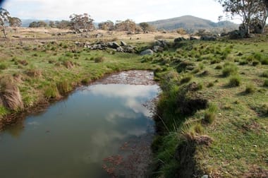 699 Billilingra Road Bredbo NSW 2626 - Image 2