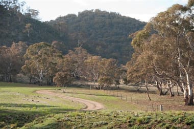699 Billilingra Road Bredbo NSW 2626 - Image 3