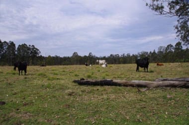 Lot 1 Dinjerra Rd Glenugie NSW 2460 - Image 3