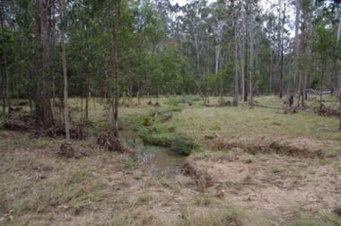 Lot 43 Dinjerra Rd Glenugie NSW 2460 - Image 1