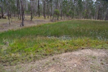 Lot 43 Dinjerra Rd Glenugie NSW 2460 - Image 2