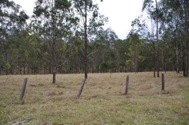 Lot 43 Dinjerra Rd Glenugie NSW 2460 - Image 3