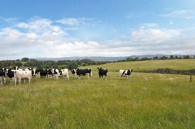 Lot 2 Yarragon-Shady Creek Road Yarragon VIC 3823 - Image 1