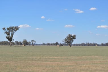'Fairfield' Henty-Walla Road Culcairn NSW 2660 - Image 2