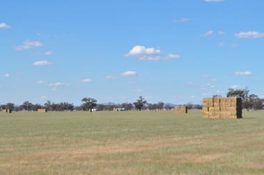 'Fairfield' Henty-Walla Road Culcairn NSW 2660 - Image 3