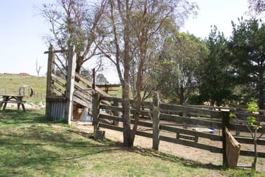 403 South Wolumla Road Candelo NSW 2550 - Image 3
