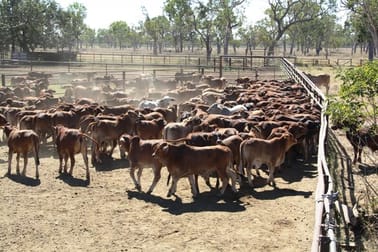 Click to view all images MYOLA ROAD Charters Towers QLD 4820 - Image 2