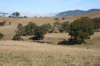 1819 Gresford Road East Gresford NSW 2311 - Image 1
