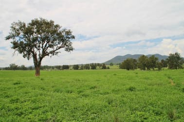 721 Ulan Road Mudgee NSW 2850 - Image 1