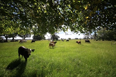 572 Coldstream Road Ulmarra NSW 2462 - Image 3