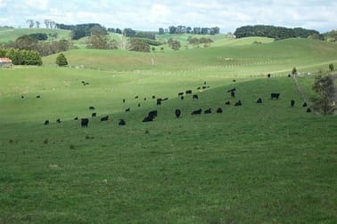349 Jeetho Road Loch VIC 3945 - Image 2