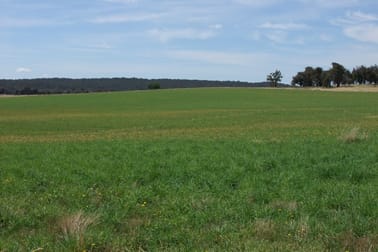 90 Sunset Hills Road Blayney NSW 2799 - Image 1