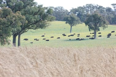 90 Sunset Hills Road Blayney NSW 2799 - Image 3