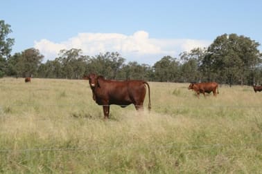 - KINGUMBILLA WEST Goondiwindi QLD 4390 - Image 1