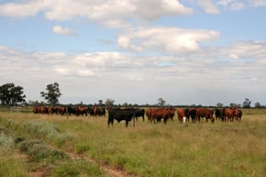 - KINGUMBILLA WEST Goondiwindi QLD 4390 - Image 3