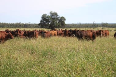 Click to view all images Mitchell QLD 4465 - Image 1