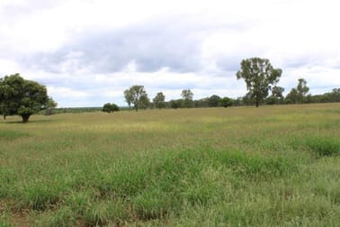 Click to view all images Mitchell QLD 4465 - Image 3