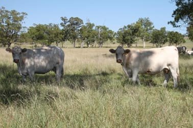 Roma QLD 4455 - Image 1
