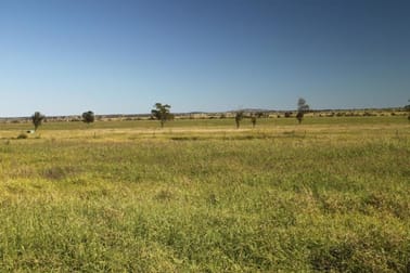Click to view all images - Amaroo Roma QLD 4455 - Image 1
