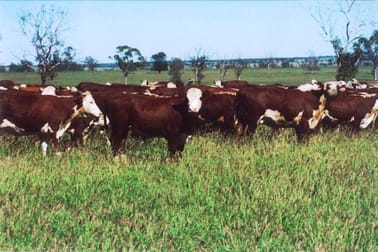 Click to view all images - Amaroo Roma QLD 4455 - Image 3