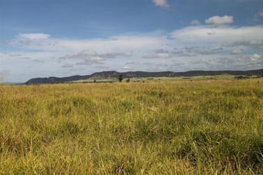 Tarewinnaba Arcadia Valley Injune QLD 4454 - Image 1