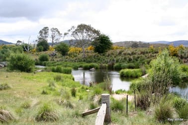 4687 Cooma Rd Braidwood NSW 2622 - Image 3