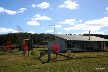647 Back Creek Road Braidwood NSW 2622 - Image 1