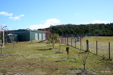 647 Back Creek Road Braidwood NSW 2622 - Image 2