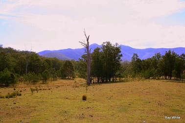 4003 - 4005 Araluen Road Merricumbene NSW 2622 - Image 2