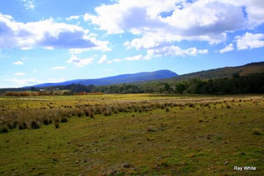 3940 Cooma Rd Braidwood NSW 2622 - Image 1