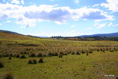 3940 Cooma Rd Braidwood NSW 2622 - Image 2