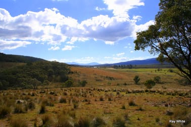 3940 Cooma Rd Braidwood NSW 2622 - Image 3