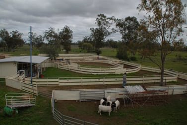 - NEWSTEAD Goondiwindi QLD 4390 - Image 2