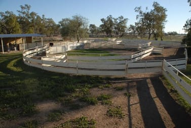 - NEWSTEAD Goondiwindi QLD 4390 - Image 3