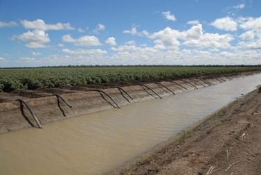- TURKEY LAGOON Goondiwindi QLD 4390 - Image 1