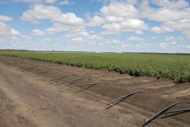 - TURKEY LAGOON Goondiwindi QLD 4390 - Image 3