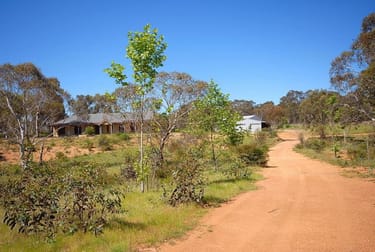 582 Northangera Rd Braidwood NSW 2622 - Image 2