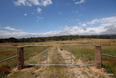 3091 Cooma Road Braidwood NSW 2622 - Image 3